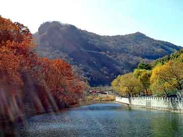 大三巴一肖二码最准，丰田霸道论坛